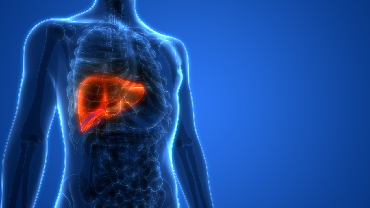 liver