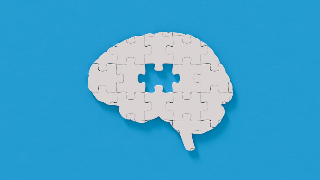 jigsaw brain.jpg