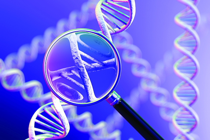 DNA_structure_web.jpg