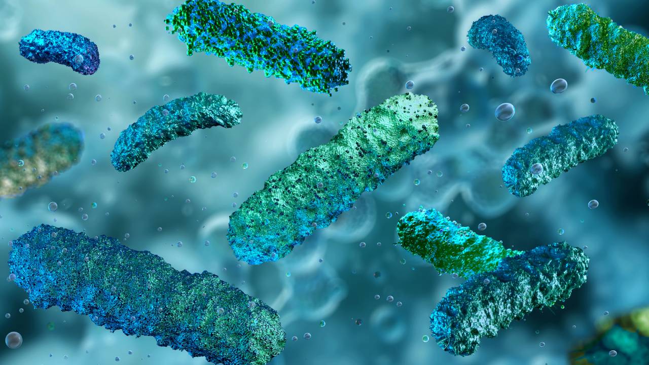 microbiome-summary
