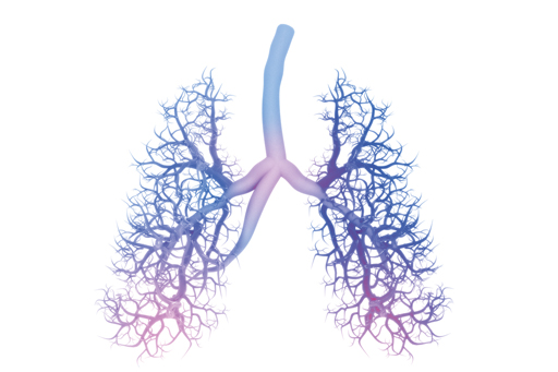 lungs_graphic.jpg