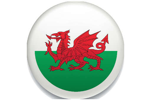 Walesâ€™ Common Ailments Service.jpg
