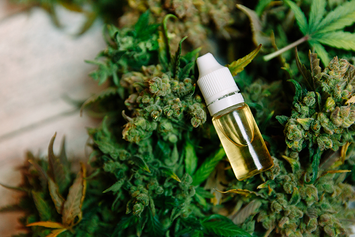 Cannabis_oil.jpg