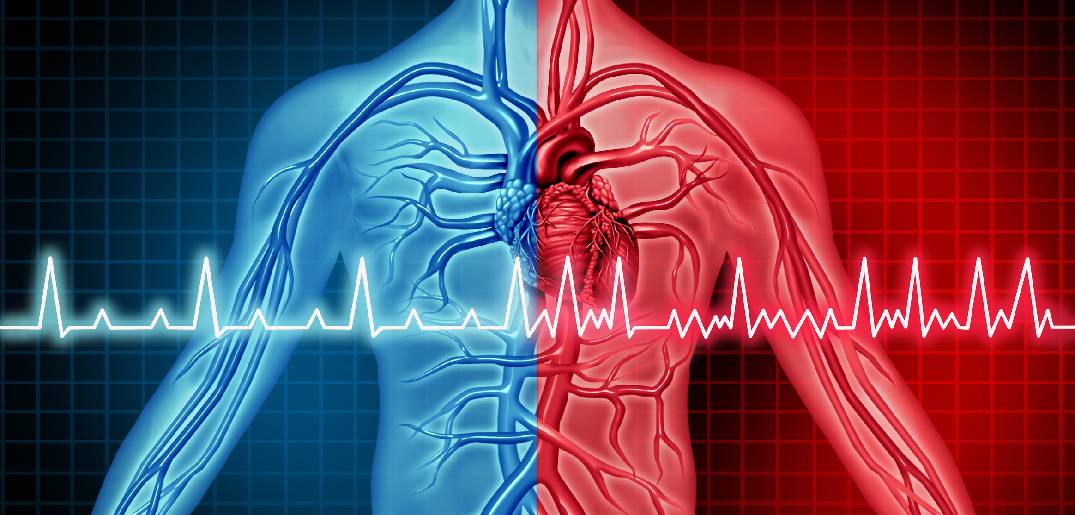 atrial fibrillation_new summary.jpg